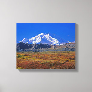 Mt. McKinley Denali Nationalpark , Alaska. Leinwanddruck