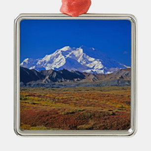 Mt. McKinley Denali Nationalpark , Alaska. Ornament Aus Metall