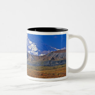 Mt. McKinley Denali Nationalpark , Alaska. Zweifarbige Tasse