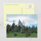 Mt. Mitchell Postkarte (Vorne/Hinten)