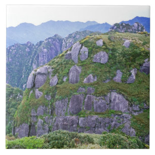 Mt. Nagata, Yakushima, Kagoshima, Japan Fliese