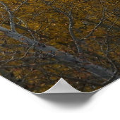 Mt Ouray Poster (Ecke)