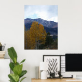 Mt Ouray Poster (Heimbüro)