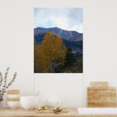 Mt Ouray Poster (Küche)