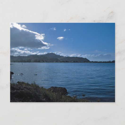 Mt Paku Tairua Coromandel Neuseeland Postkarten (Vorderseite)