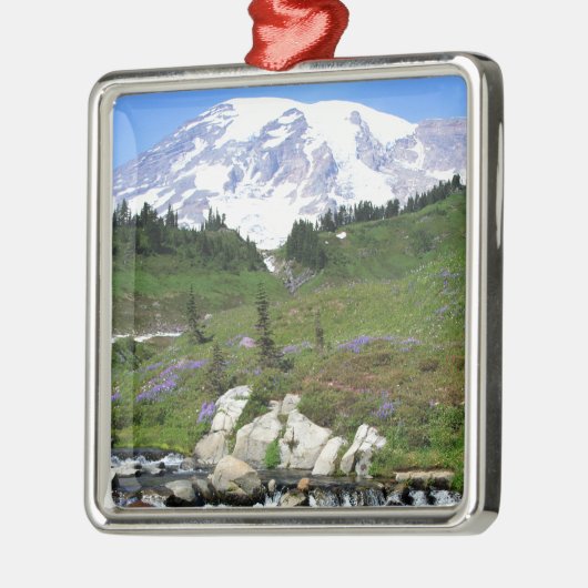Mt Rainer, Edith-Nebenfluss Silbernes Ornament (Links)
