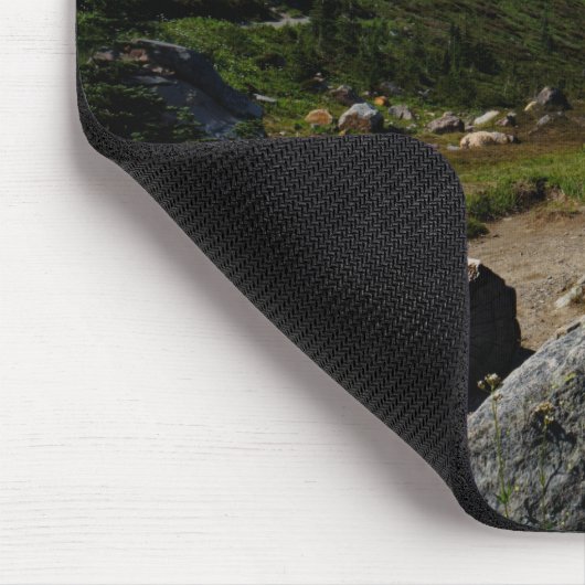 Mt Rainer Skyline Trail Mousepad (Ecke)