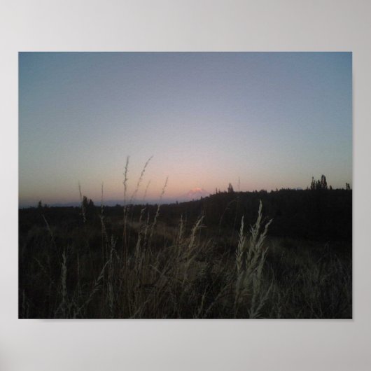 Mt Rainier. Poster (Vorne)