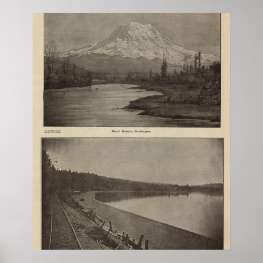 Mt Rainier Steilacoom Beach Poster (Vorne)