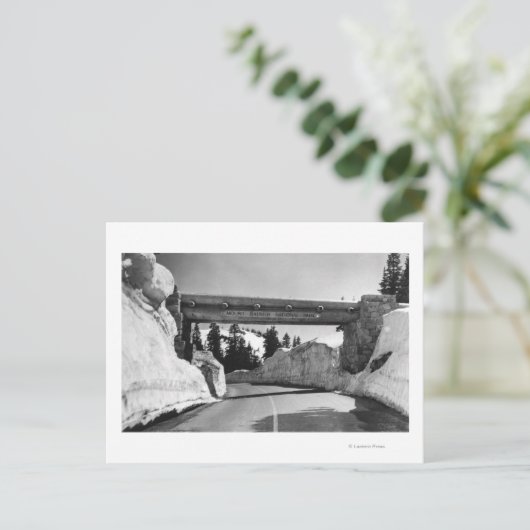 Mt. Rainier, WA Chinook Pass Naches Pass Postkarte (Stehend Vorderseite)