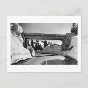 Mt. Rainier, WA Chinook Pass Naches Pass Postkarte