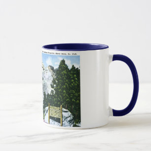 Mt. Rushmore Memorial, South Dakota Tasse