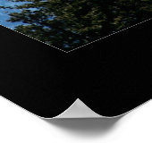 Mt Shasta Poster (Ecke)