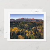 "Mt. Sneffel - Dallas Divide Road" Postkarte (Vorne/Hinten)
