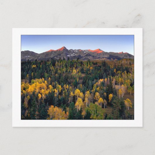 "Mt. Sneffel - Dallas Divide Road" Postkarte (Vorderseite)