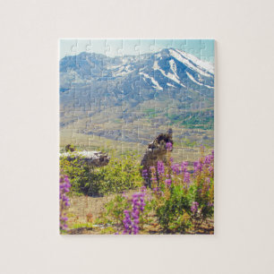 Mt. St. Helens Puzzle