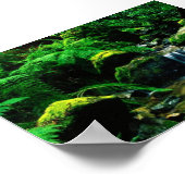Mt. Tamalpais State Park Poster (Ecke)