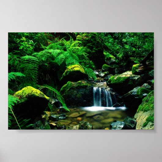 Mt. Tamalpais State Park Poster (Vorne)