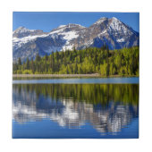 Mt. Timpanogos reflektiert in der silbernen Fliese (Vorderseite)