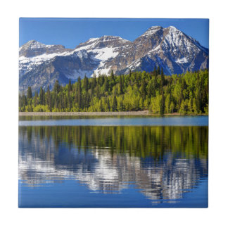 Mt. Timpanogos reflektiert in der silbernen Fliese