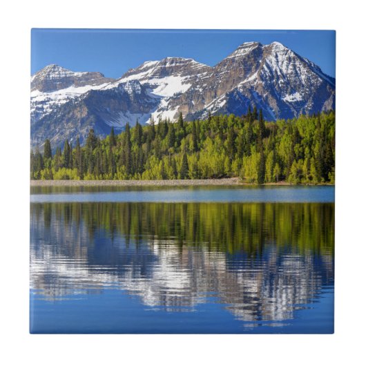 Mt. Timpanogos reflektiert in der silbernen Fliese (Vorderseite)