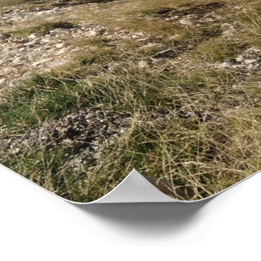 Mt. Ventoux - Panoramasicht Poster (Ecke)