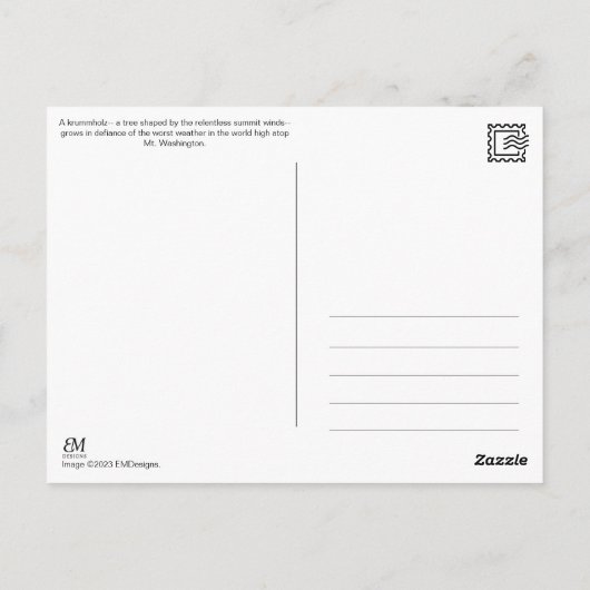 Mt. Washington, NH Postcard Postkarte (Rückseite)