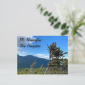 Mt. Washington, NH Postkarte (Stehend Vorderseite)