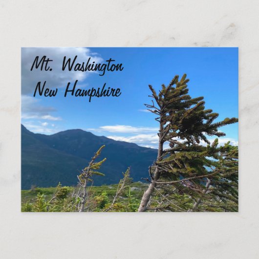 Mt. Washington, NH Postkarte (Vorderseite)