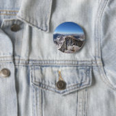 Mt Whitney Summit - John Muir Trail - Sierra Button (Beispiel)
