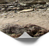 Mt Whitney Trail Junction - John Muir Trail Poster (Ecke)