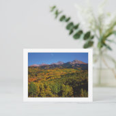 "Mt. Wilson - Aspen Tree Valley" Postkarte (Stehend Vorderseite)