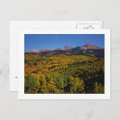 "Mt. Wilson - Aspen Tree Valley" Postkarte (Vorne/Hinten)