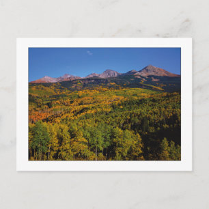 "Mt. Wilson - Aspen Tree Valley" Postkarte