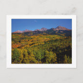 "Mt. Wilson - Aspen Tree Valley" Postkarte (Vorderseite)