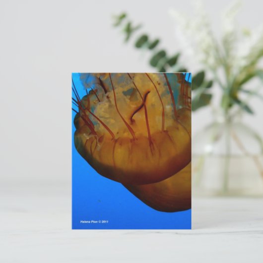 MTV 1 POSTKARTE (Stehend Vorderseite)