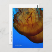 MTV 1 POSTKARTE (Vorne/Hinten)