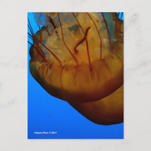 MTV 1 POSTKARTE (Vorderseite)