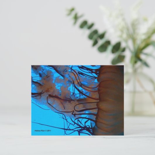 MTV 2 POSTKARTE (Stehend Vorderseite)