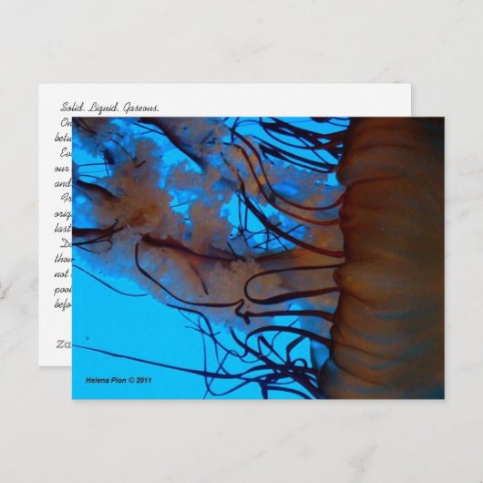 MTV 2 POSTKARTE (Vorne/Hinten)