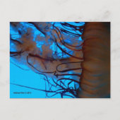 MTV 2 POSTKARTE (Vorderseite)