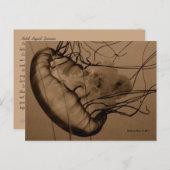 MTV 3 POSTKARTE (Vorne/Hinten)