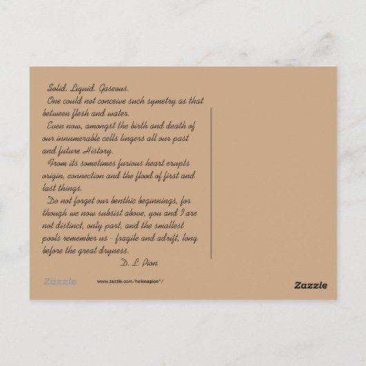 MTV 3 POSTKARTE (Rückseite)