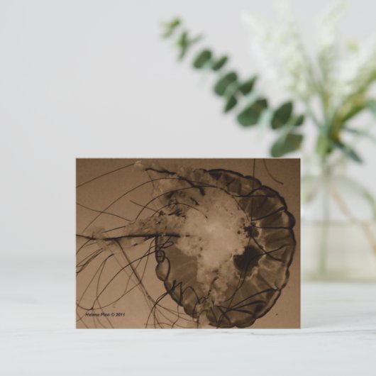 MTV 4 POSTKARTE (Stehend Vorderseite)