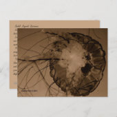 MTV 4 POSTKARTE (Vorne/Hinten)