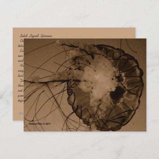 MTV 4 POSTKARTE (Vorne/Hinten)