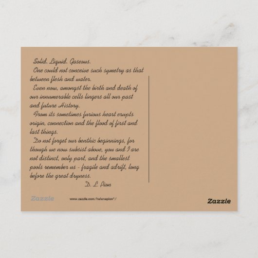 MTV 4 POSTKARTE (Rückseite)