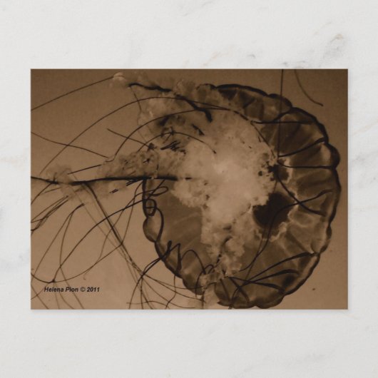 MTV 4 POSTKARTE (Vorderseite)