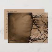 MTV 5 POSTKARTE (Vorne/Hinten)