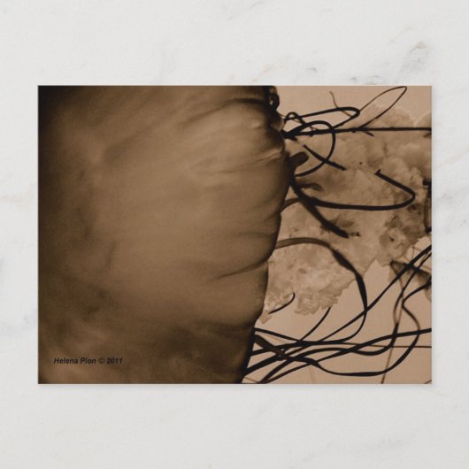 MTV 5 POSTKARTE (Vorderseite)